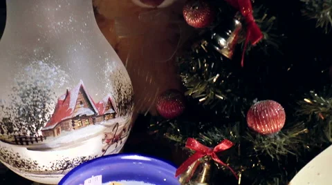 Christmas decorations Vídeo Stock 44026683