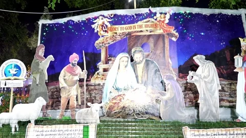 Christmas  decorations Stock Footage 295483011