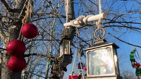 Christmas decorations hang on the branches of trees. Christmas festive Stock Footage 227920749