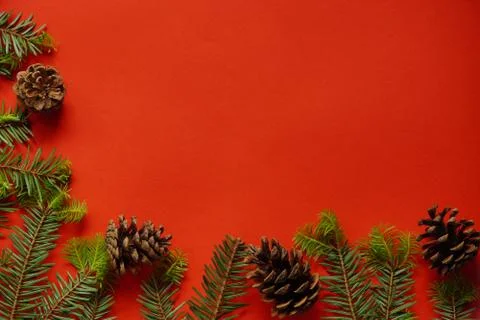 Christmas decorations layout or flatlay with fir branches and cones on red ba Stock Photos