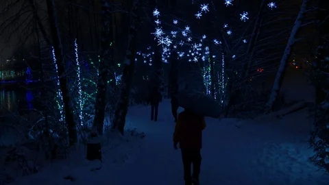 Christmas decorations lights in park Stock Footage 70540673