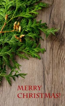 Christmas Decorations Stock Photos