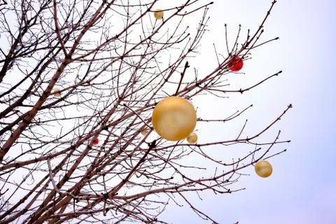 Christmas decorations Stock Photos
