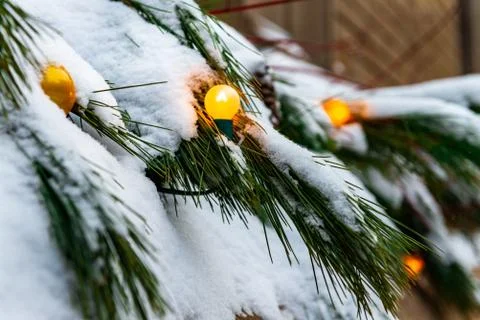 Christmas decorations Stock Photos