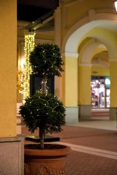 Christmas decorations Stock Photos