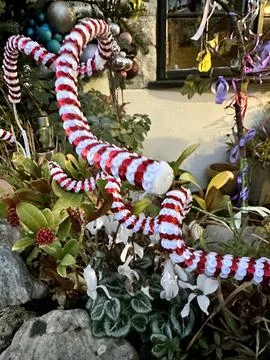 Christmas decorations Stock Photos