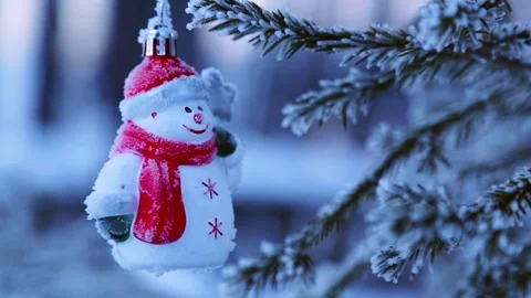 Christmas decorations on spruce branches Stock Footage 258853553