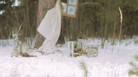 Christmas Decorations on a Spruce Trunk Video stock 61356256