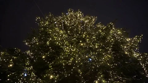 Christmas decorations. Strings of lights umbrella 動画素材 126263910