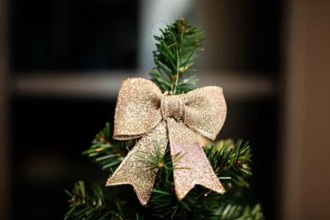 Christmas decorations on top of the tree Stock Photos