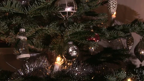 Christmas decorations in a tree Stock Footage 70841404