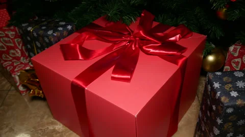 Christmas decorations on the tree. Stock Footage 166703185