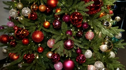 Christmas decorations on the tree. Stock Footage 166703259