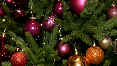 Christmas decorations on the tree. Stock Footage 166703314