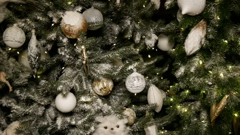 Christmas decorations on the tree. Stock Footage 167832178