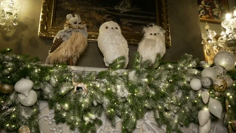 Christmas decorations on the tree. Stock Footage 167832659