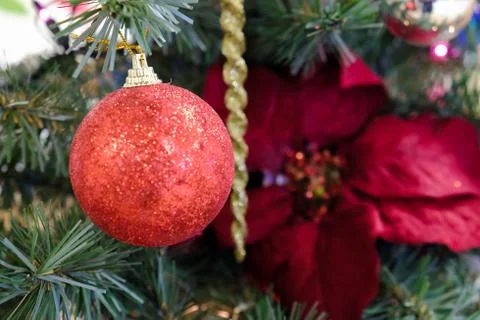 Christmas decorations on a tree Stock Photos