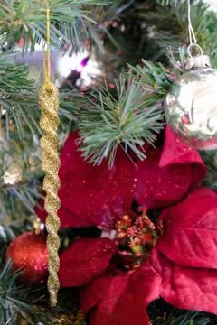 Christmas decorations on a tree Stock Photos