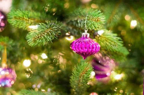 Christmas decorations on a tree Stock Photos