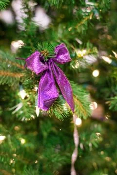 Christmas decorations on a tree Stock Photos