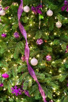 Christmas decorations on a tree Stock Photos