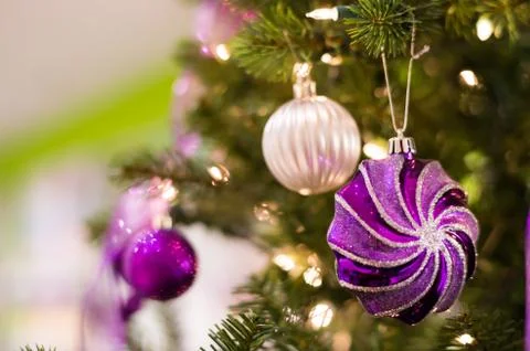 Christmas decorations on a tree Stock Photos