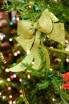 Christmas decorations on a tree Stock Photos