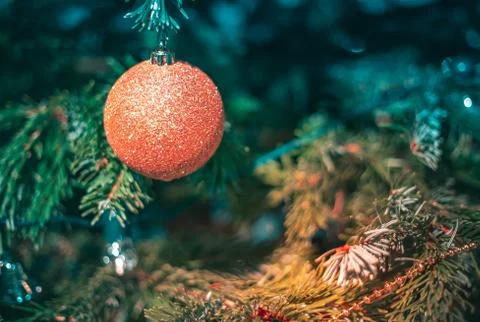 Christmas  decorations on tree Stock Photos
