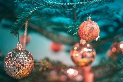 Christmas  decorations on tree Stock Photos