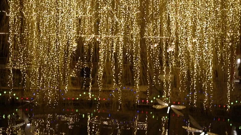 Christmas decorations. Willow tree decorated with garlands. Stock Footage 262698227