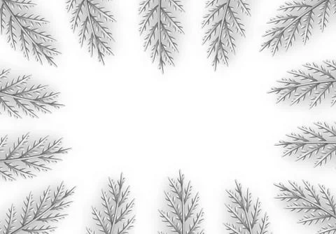 Christmas decorative design elements from silver pine and fir branches. Decor Stock Illustration