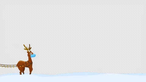 Christmas deer 2021 (General plan) Video stock 145188959