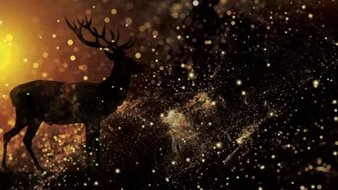 Christmas deer and glitter particles motion graphics with night background Stock Footage 193995663