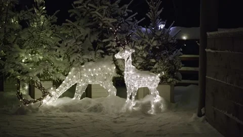 Christmas deer decorate the tree Stock Footage 232714453
