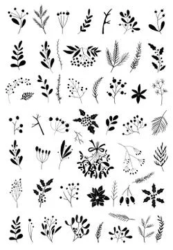 Christmas design elements with briar, berries, fir branches, mistletoe Stock Illustration