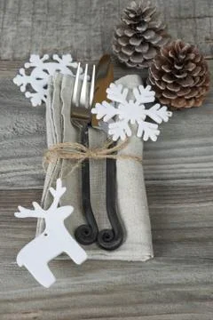 Christmas dinner Stock Photos