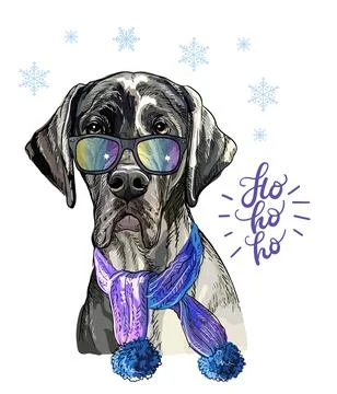 Christmas dog great dane vector hand drawn illustration Stock Illustration