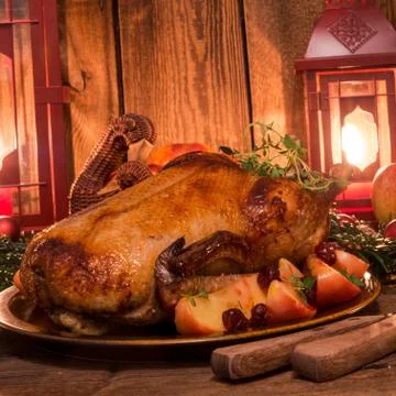 Christmas duck Stock Photos