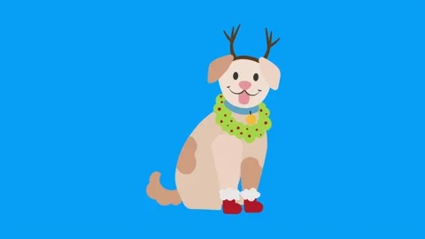Christmas element with chromakey background. More elements in our portfolio. Stock Footage 225843313