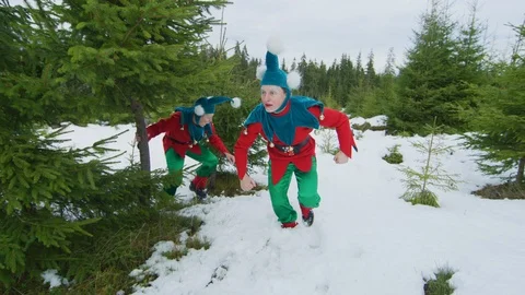 Christmas elves in a forest Stock-Footage 86776871