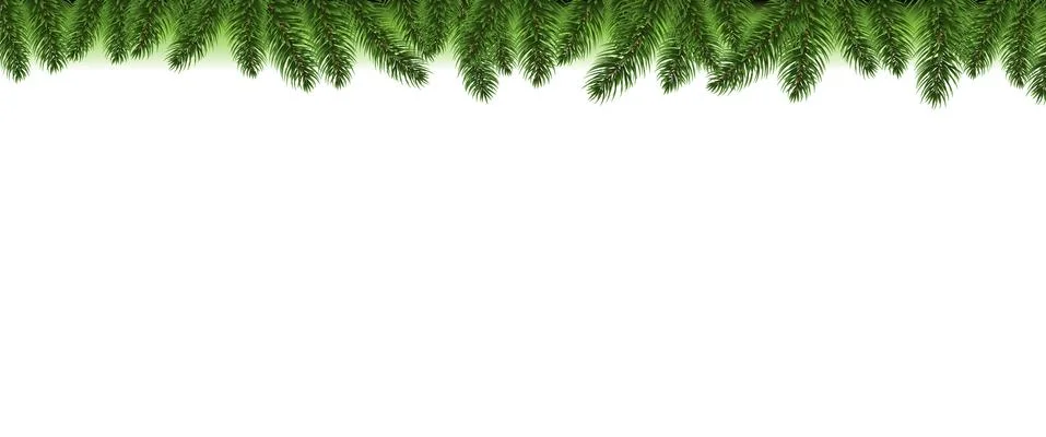 Christmas Fir Tree Border White background Stock Illustration