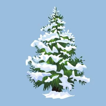 Christmas fir tree with snow on it, holiday winter symbol, isolated design. Snow Stock Illustration
