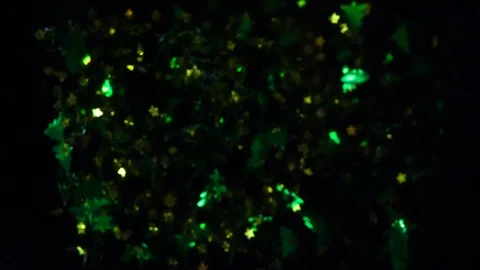 Christmas Flash Confetti HD Pro Stock Footage 70716737