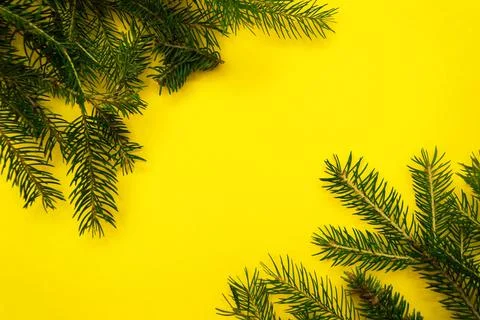 Christmas flat composition of fir branches with copy space for text. Top view Stock Photos