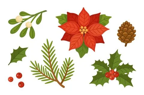 Christmas Floral Elements Set Hand Drawn Flat Vector Mistletoe イラスト素材