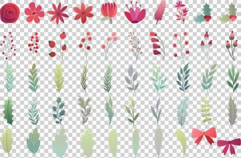 Christmas floral elements set with winter botanical branches holly berries leave イラスト素材