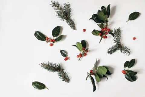 Christmas floral pattern. Border frame of red holly berries and green spruce Fotos de archivo
