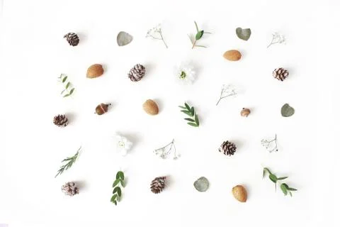 Christmas floral pattern. Winter composition of eucalyptus leaves and branches 写真素材