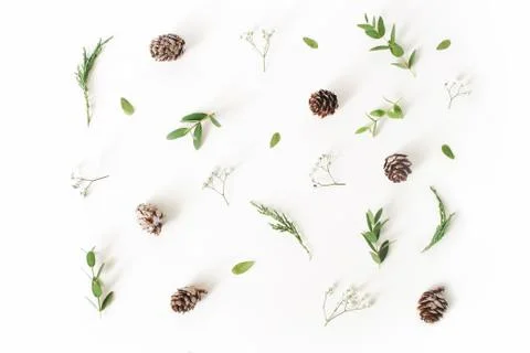 Christmas floral pattern. Winter composition of eucalyptus leaves and branches 写真素材