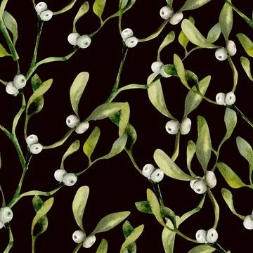 Christmas floral seamless pattern with green fresh omela branches on black. N Stock Illustration